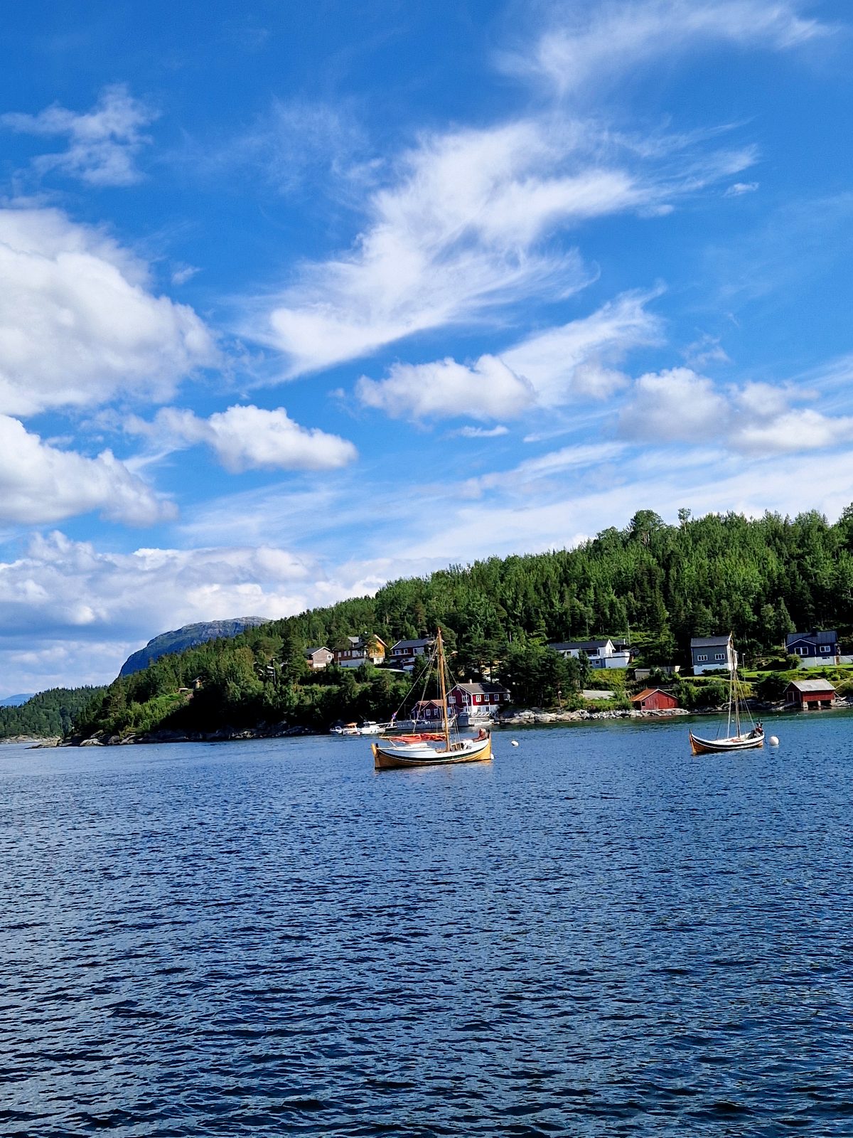 Nordlandsbåt Faragut on the fjord in Bindal