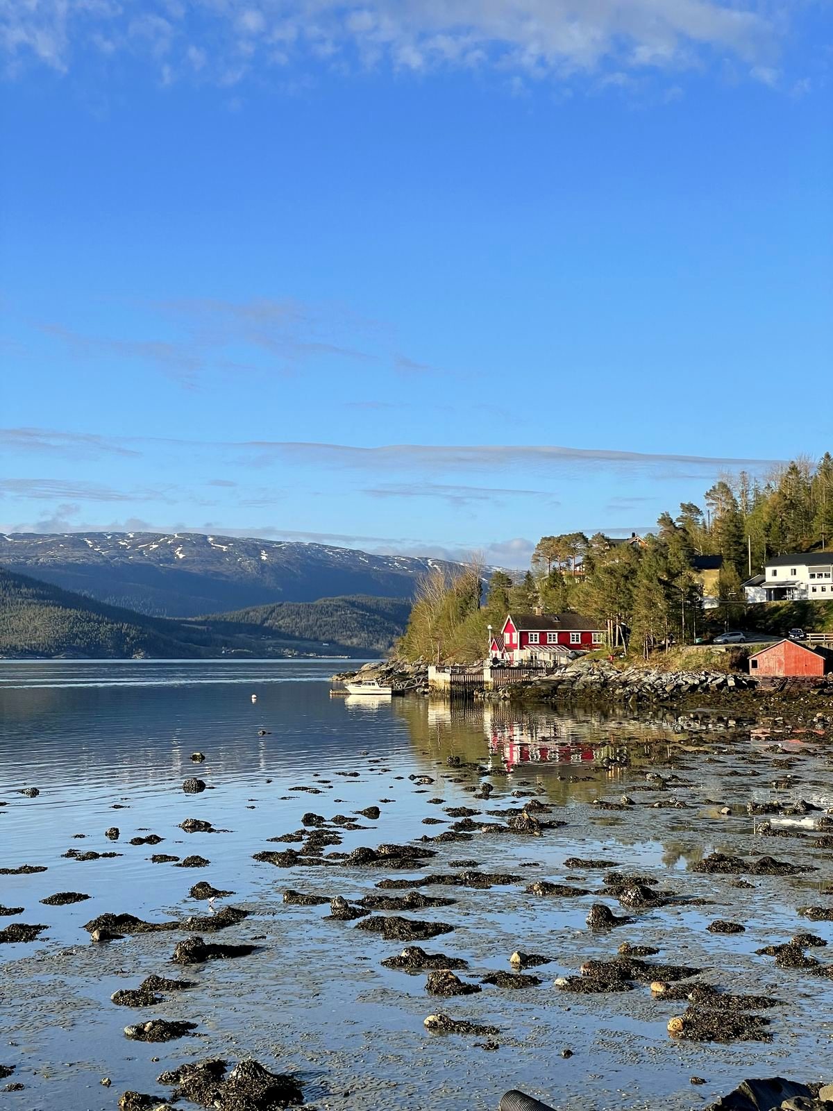 Quiet fjord and red house by Terråk
