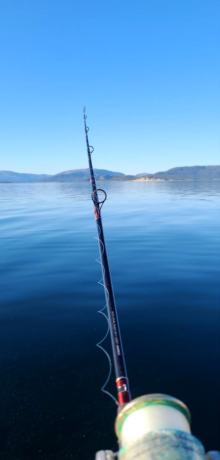 Sea fishing Bindalsfjorden