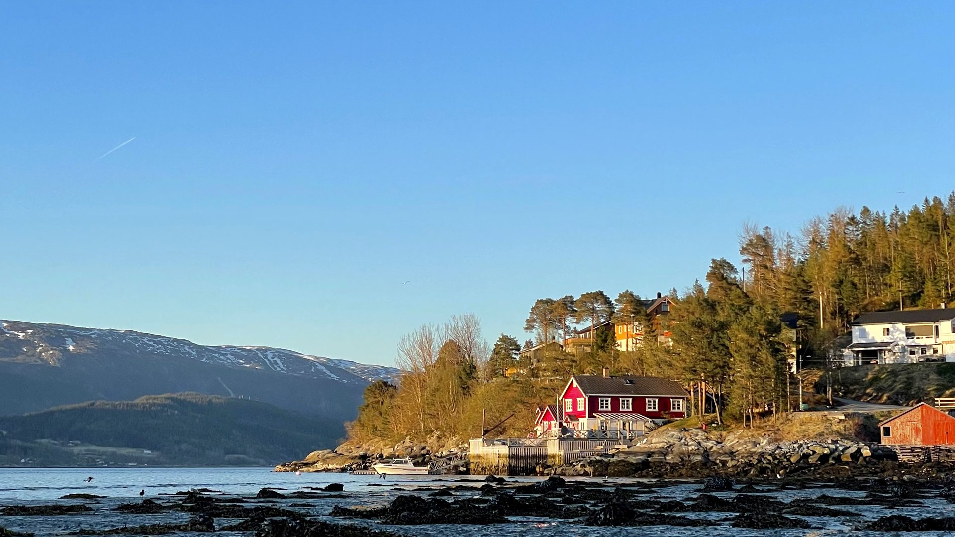 Bindal — practical accommodation by the fjord