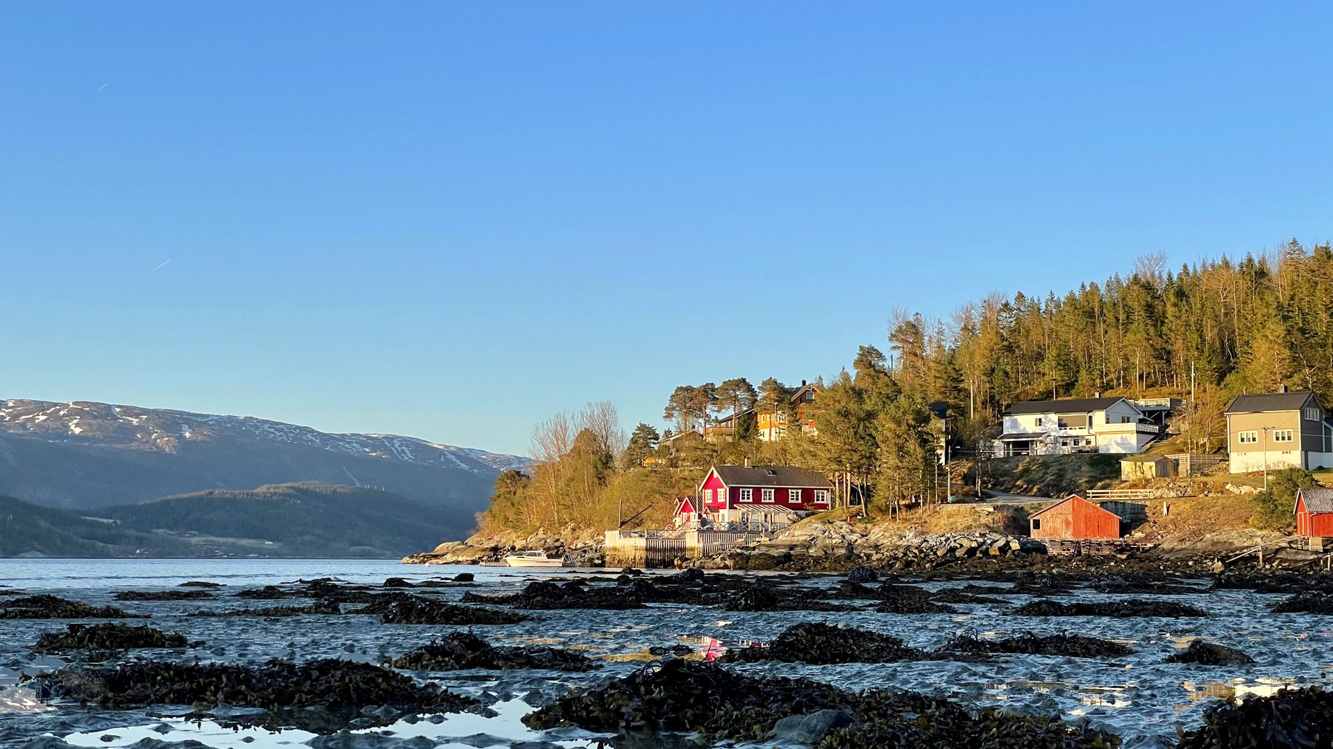 Fjord, mountains and a red house in Bindal